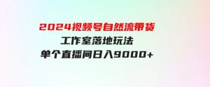 （9709期）【蓝海项目】2024视频号自然流带货，工作室落地玩法，单个直播间日入9000+-财仔梦想资源网