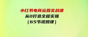 （9724期）小红书电商运营实战课，​从0打造全程实操（65节视频课）-财仔梦想资源网