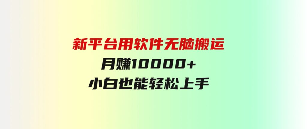 （9745期）新平台用软件无脑搬运，月赚10000+，小白也能轻松上手-财仔梦想资源网