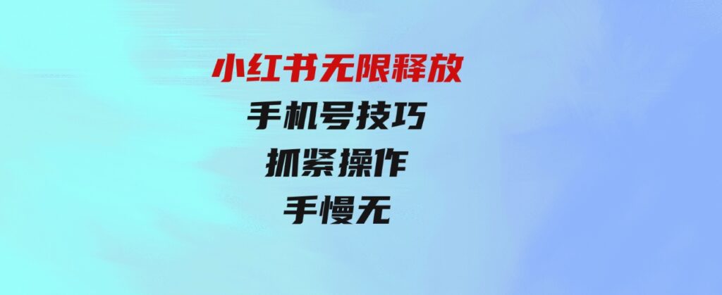 （9762期）小红书无限释放手机号技巧版手慢无-财仔梦想资源网
