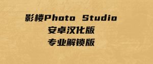 影楼PhotoStudio安卓汉化版–专业解锁版-财仔梦想资源网