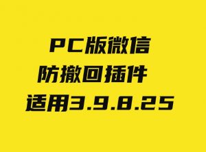 PC微信防撤回插件适用3.9.8.25-财仔梦想资源网