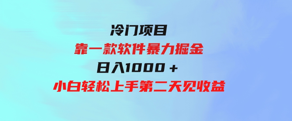 （9791期）冷门项目，靠一款软件暴力掘金日入1000＋，小白轻松上手第二天见收益-财仔梦想资源网