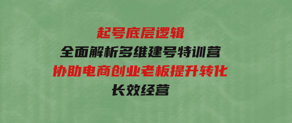 起号底层逻辑，全面解析多维建号特训营，协助电商创业老板提升转化，长效经营-财仔梦想资源网