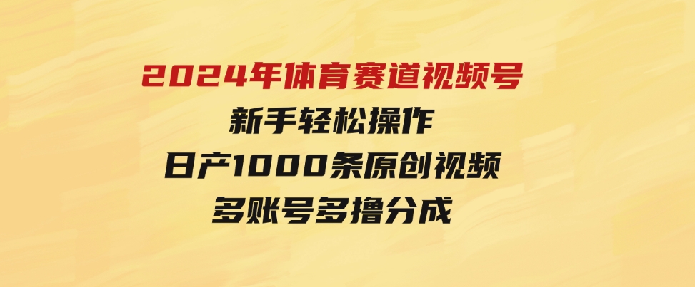 （9810期）2024年体育赛道视频号，新手轻松操作，日产1000条原创视频,多账号多撸分成-财仔梦想资源网
