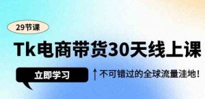 （9463期）Tk电商带货30天线上课，不可错过的全球流量洼地（29节课）-财仔梦想资源网