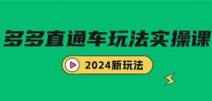 （9412期）多多直通车玩法实战课，2024新玩法（7节课）-财仔梦想资源网