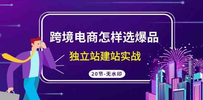 （9369期）跨境电商怎样选爆品，独立站建站实战（20节高清无水印课）-财仔梦想资源网