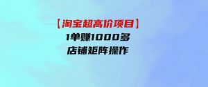 【淘宝超高价项目】1单赚1000多，店铺矩阵操作-财仔梦想资源网