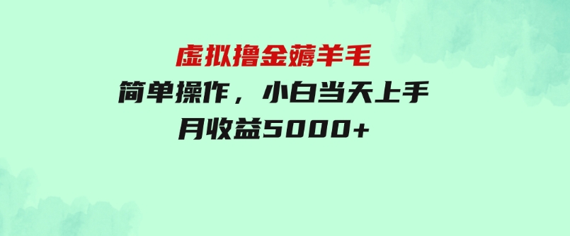 虚拟撸金薅羊毛，简单操作，小白当天上手，月收益5000+-财仔梦想资源网