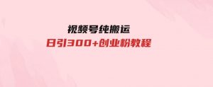 视频号纯搬运日引300+创业粉教程！-财仔梦想资源网