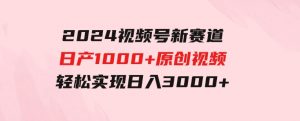 2024视频号新赛道，日产1000+原创视频，轻松实现日入3000+-财仔梦想资源网