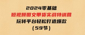 2024新课0基础短视频+图文带货实战特训营：玩转平台，轻松打造爆款（59节）-财仔梦想资源网