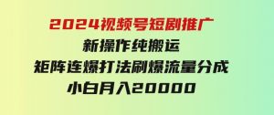 2024视频号短剧推广新操作纯搬运+矩阵连爆打法刷爆流量分成小白月入20000-财仔梦想资源网