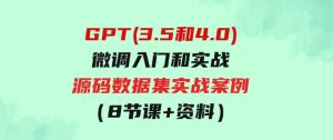 GPT(3.5和4.0)微调入门和实战，源码数据集实战案例（8节课+资料）-财仔梦想资源网