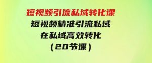 短视频引流私域转化课，短视频精准引流私域，在私域高效转化（20节课）-财仔梦想资源网