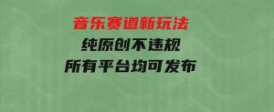 音乐赛道新玩法，纯原创不违规，所有平台均可发布-财仔梦想资源网