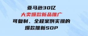 亚马逊30亿·大卖爆款新品推广，可复制、全程案例实操的爆款推新SOP-财仔梦想资源网