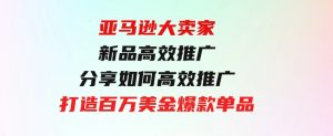 亚马逊大卖家-新品高效推广，分享如何高效推广，打造百万美金爆款单品-财仔梦想资源网