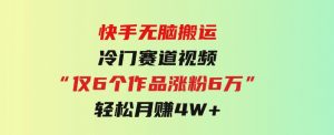 快手无脑搬运冷门赛道视频“仅6个作品涨粉6万”轻松月赚4W+-财仔梦想资源网