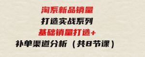 淘系新品销量打造实战系列，基础销量打造+补单渠道分析（共8节课）-财仔梦想资源网