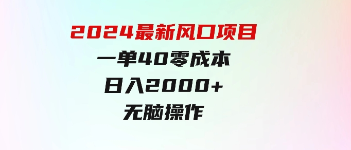 2024最新风口项目，一单40，零成本，日入2000+，无脑操作-财仔梦想资源网