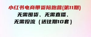 小红书电商带货陪跑营(第11期)无需囤货、无需直播、无需投流（送往期10套）-财仔梦想资源网