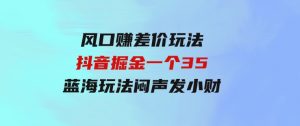 风口赚差价玩法，抖音掘金，一个35，蓝海玩法，闷声发小财-财仔梦想资源网