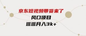 京东短视频带货来了，风口项目，逛逛月入3k+-财仔梦想资源网