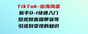 TikTok-出海淘金，新手0-1快速入门短视频直播带货等引流到变现的知识-财仔梦想资源网