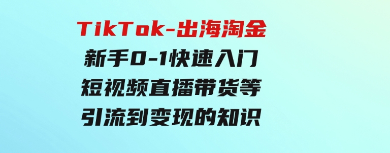 TikTok-出海淘金，新手0-1快速入门短视频直播带货等引流到变现的知识-财仔梦想资源网