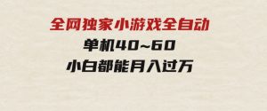 2024最新全网独家小游戏全自动，单机40~60,稳定躺赚，小白都能月入过万-财仔梦想资源网