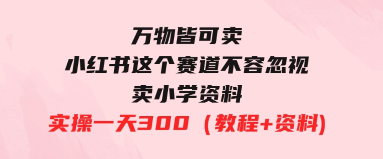 万物皆可卖，小红书这个赛道不容忽视，卖小学资料实操一天300（教程+资料)-财仔梦想资源网