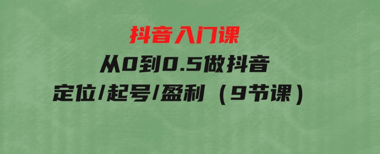 抖音入门课，从0到0.5做抖音，定位/起号/盈利（9节课）-财仔梦想资源网