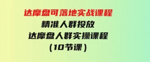 达摩盘可落地实战课程，精准人群投放，达摩盘人群实操课程（10节课）-财仔梦想资源网