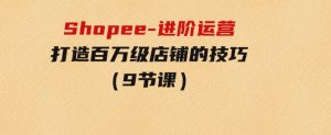 Shopee-进阶运营：打造百万级店铺的技巧（9节课）-财仔梦想资源网