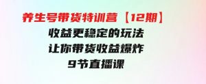 养生号带货特训营【12期】收益更稳定的玩法，让你带货收益爆炸-9节直播课-财仔梦想资源网