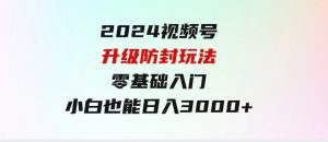 2024视频号升级防封玩法，零基础入门，小白也能日入3000+-财仔梦想资源网