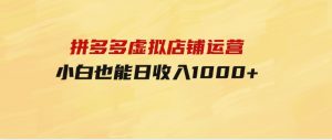 拼多多虚拟店铺运营：小白也能日收入1000+-财仔梦想资源网