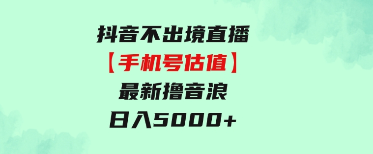 抖音不出境直播【手机号估值】最新撸音浪，日入5000+，简单易学-财仔梦想资源网