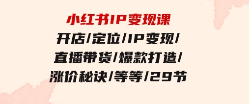 小红书IP变现课：开店/定位/IP变现/直播带货/爆款打造/涨价秘诀/等等/29节-财仔梦想资源网