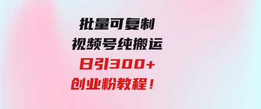 批量可复制！视频号纯搬运日引300+创业粉教程！-财仔梦想资源网