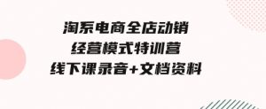 淘系电商全店动销经营模式特训营，线下课录音+文档资料-财仔梦想资源网