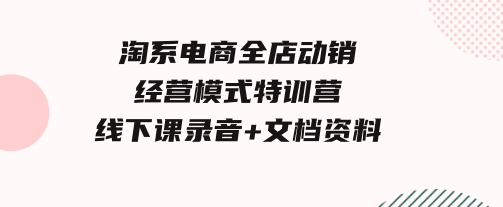 淘系电商全店动销经营模式特训营，线下课录音+文档资料-财仔梦想资源网
