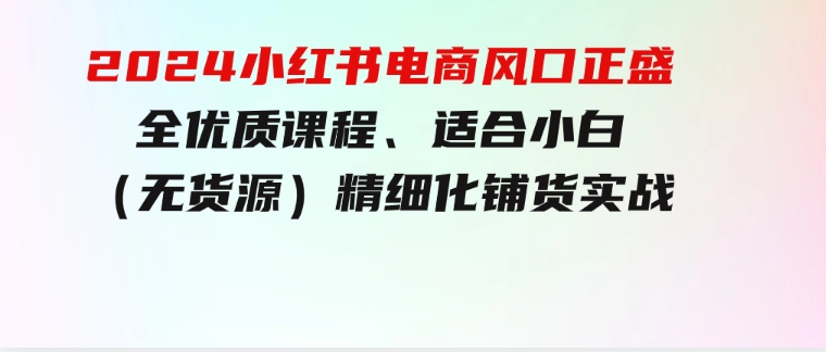 2024小红书电商风口正盛，全优质课程、适合小白（无货源）精细化铺货实战-财仔梦想资源网