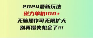 2024最新玩法，磁力单机100+，无脑操作，可无限扩大。别再错失机会了!!!-财仔梦想资源网