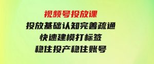 视频号投放课：投放基础认知完善疏通，快速建模打标签，稳住投产稳住账号-财仔梦想资源网