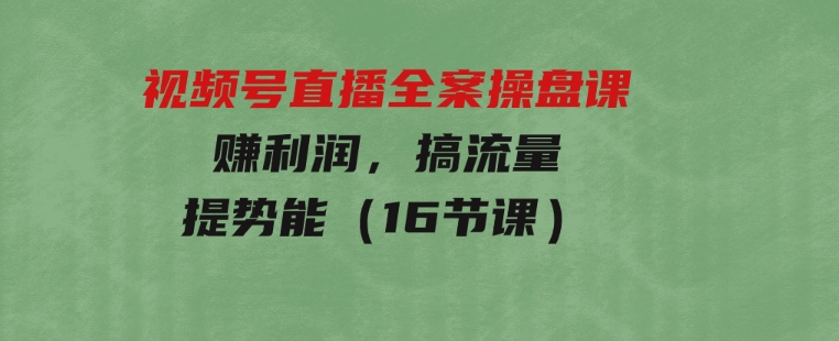 视频号直播全案操盘课，赚利润，搞流量，提势能（16节课）-财仔梦想资源网