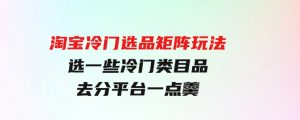 淘宝冷门选品矩阵玩法：换种玩法，选一些冷门类目品，去分平台一点羹-财仔梦想资源网