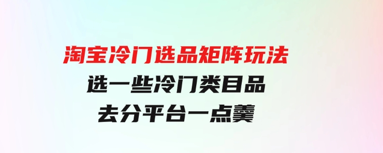 淘宝冷门选品矩阵玩法：换种玩法，选一些冷门类目品，去分平台一点羹-财仔梦想资源网